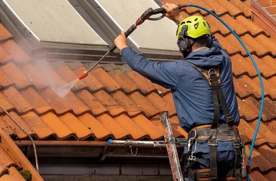 Démoussage et hydrofuge de toiture à Tressandans